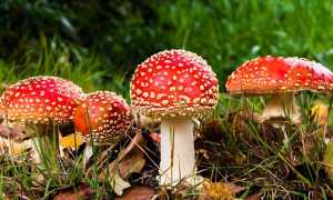 03DF3EFD 90EE 408E 9BEB 72594BA18FDA