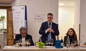 IGEA CENA RADIOLOGIA