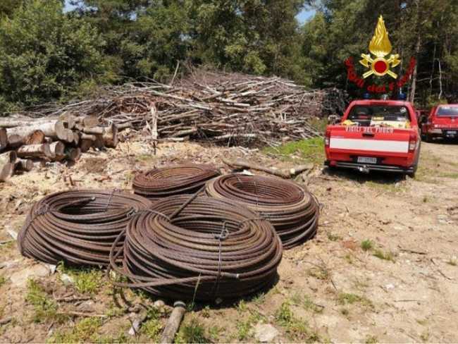 IMG 20230713 122120 700 x 525 pixel