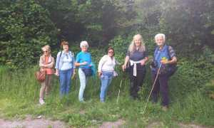 ISTITUTO ALBERGHIERO VARALLO Gruppo partecipanti rid