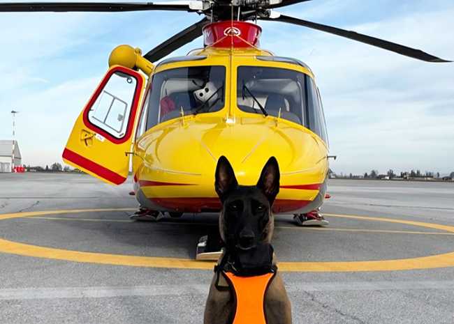 PHOTO 2025 12 06 15 22 57