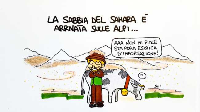 WhatsApp Image 2021 02 08 at 16.24.54