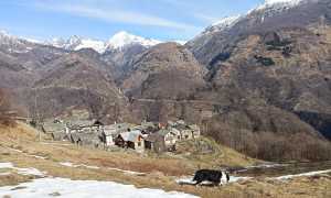 alpe manzano bognanco