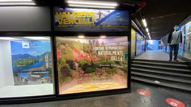 atl valsesia vercelli