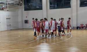 basket barberi valsesia a 