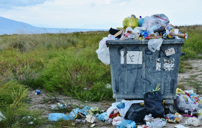 bidone rifiuti prato