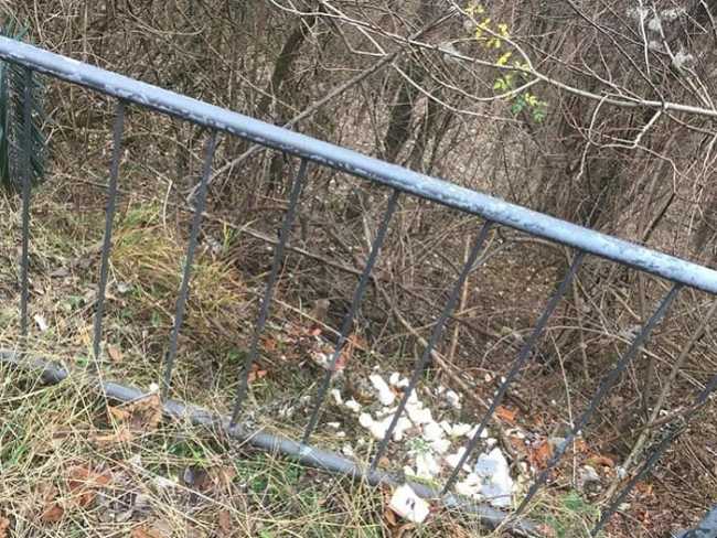 borgosesia calchi dentiere