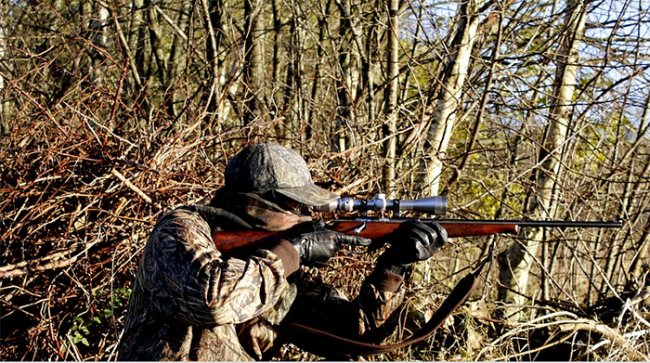 cacciatore fucile rovi