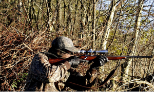 cacciatore fucile rovi