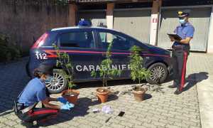 carabinieri gattinara droga