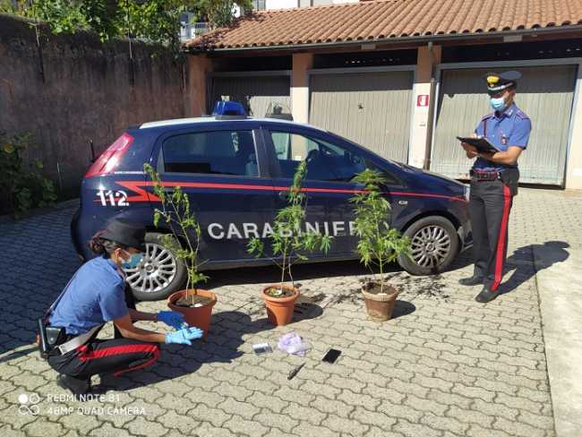 carabinieri gattinara droga