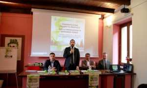 convegno idrogeno gattinara