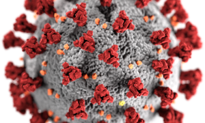 coronavirus immagine