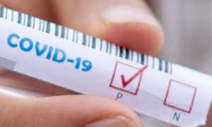 covid positivo test test tube 5065426 images articles vco ossola 2020 ottobre thumb medium650 0