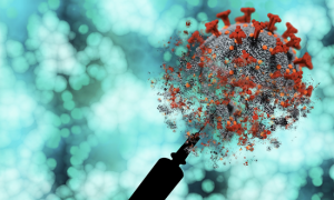 covid rendering siringa images articles vco ossola 2022 gennaio thumb medium650 0