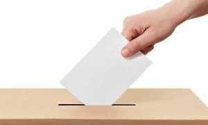 elezioni mano scheda