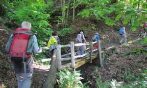 ponte legno sentiero escursione montagna fabbri val bognanco