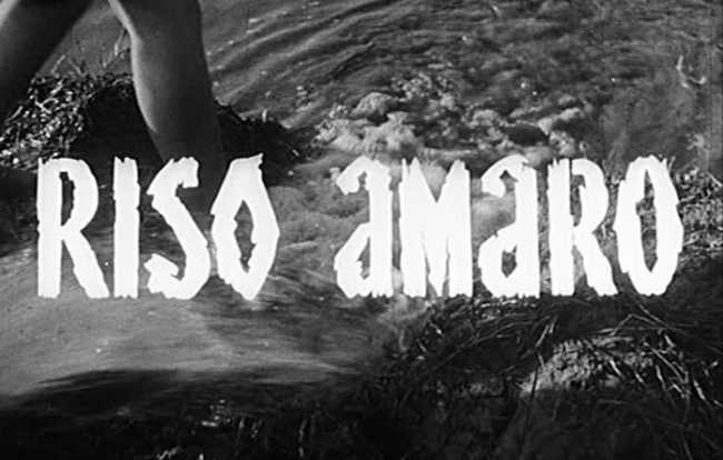 riso amaro