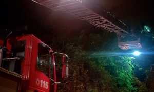 vigili del fuoco alberi