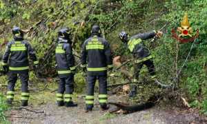vigili del fuoco allerta meteo