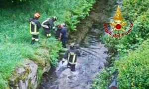 vigili del fuoco cane salvato