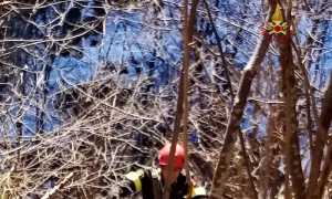 vigili del fuoco rimella salvataggio capra