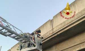 vigilidelfuococavalcavia