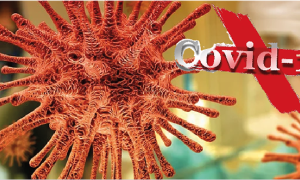 virus covid 19 arancione