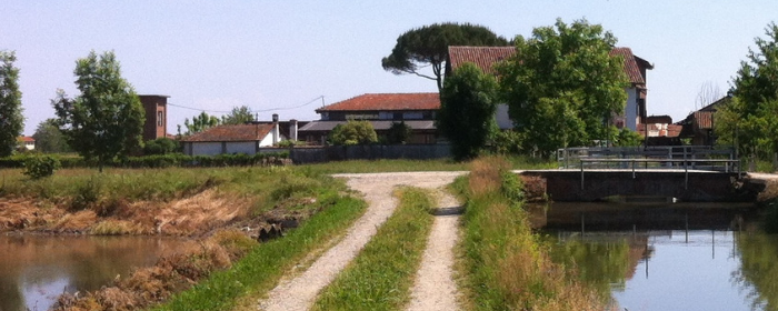 Controcorrente: il docufilm ecosostenibile. Sabato 300 alberi verrano piantati a Fontanetto Po 