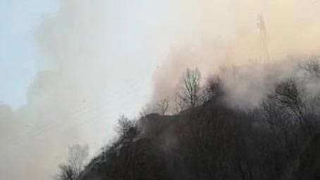 valsesia incendio