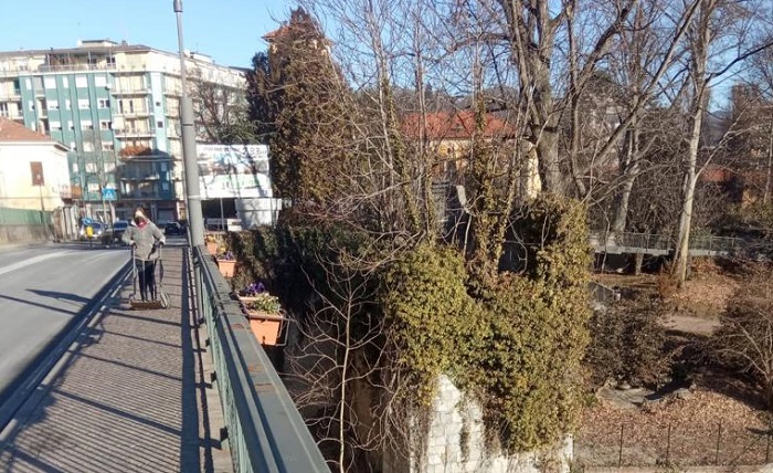 Borgosesia in fiore: tante iniziative