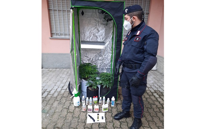 Picchia e minaccia di morte i genitori, arrestato 22enne gattinarese