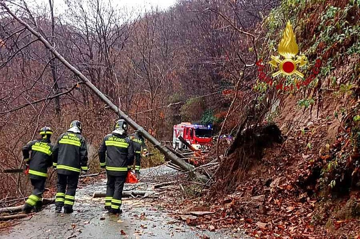 A Valduggia alberi e terra finiscono in strada