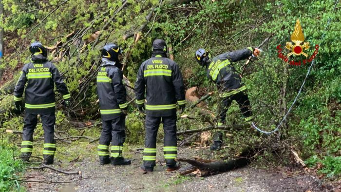 Coldiretti Biella-Vercelli: "Agricoltura in ginocchio dopo l'alluvione"