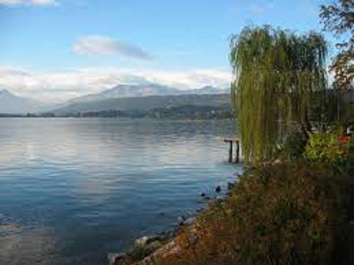 Incidente al lago di Viverone: donna trasportata al Cto
