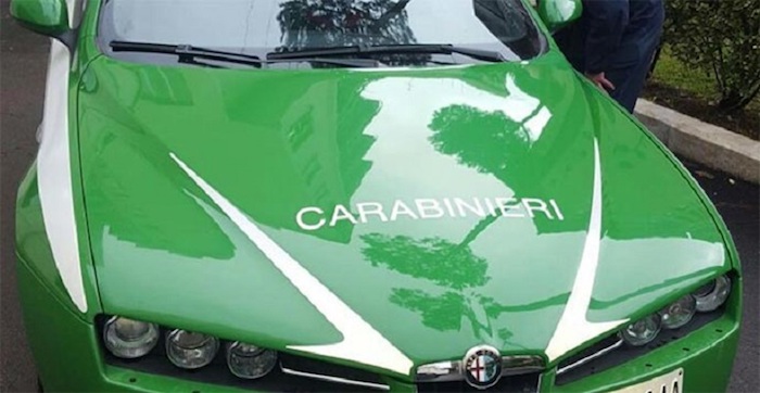 Cacciatore spara vicino alle case, denunciato