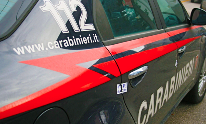 Un topo morto, piume e ragnatele nel riso: blitz dei Nas in un'azienda agricola del Vercellese