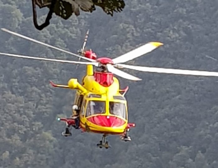 Taglia un albero, viene colpito e finisce in ospedale
