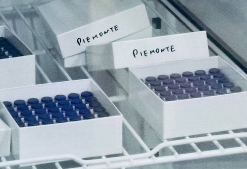 Schermata 2020 12 27 alle 13.36.55