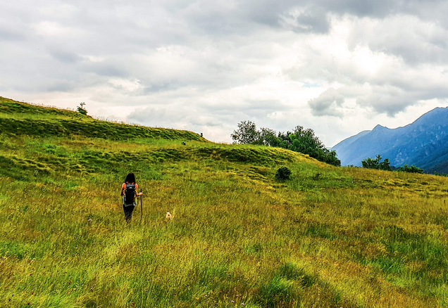 Schermata 2020 11 14 alle 11.05.43