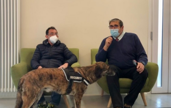 Schermata 2021 04 18 alle 10.15.38