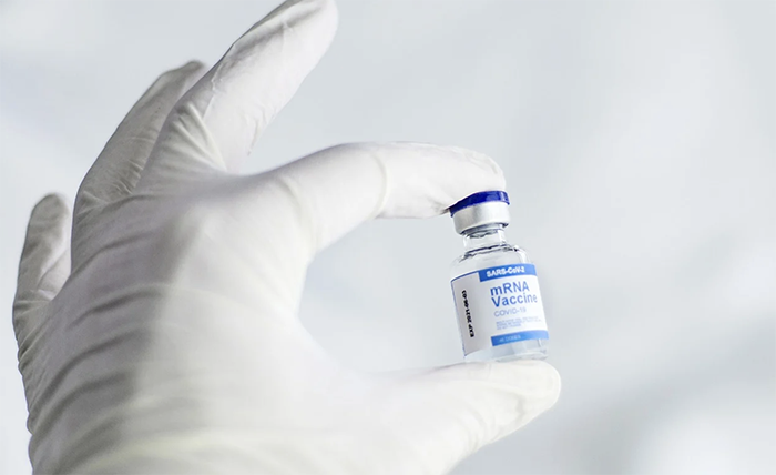 Covid: vaccinato oltre il 70% degli studenti, tra gli under 12 in 14mila hanno effettuato il test salivare