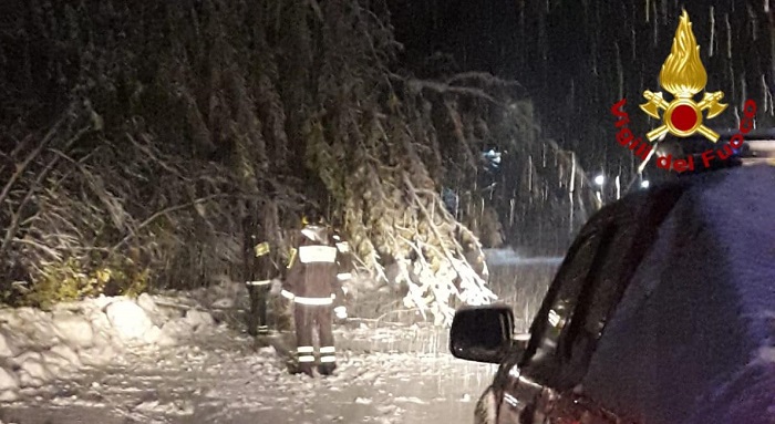 Piante invadono le strade della Valsesia innevata