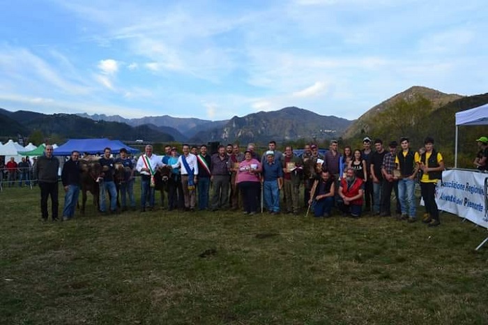 Un successo la fiera del bestiame di Doccio