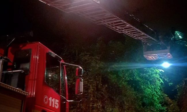 vigili del fuoco alberi